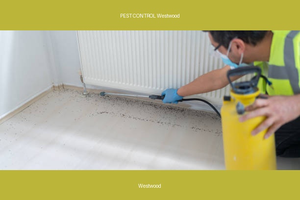 PEST CONTROL Westwood